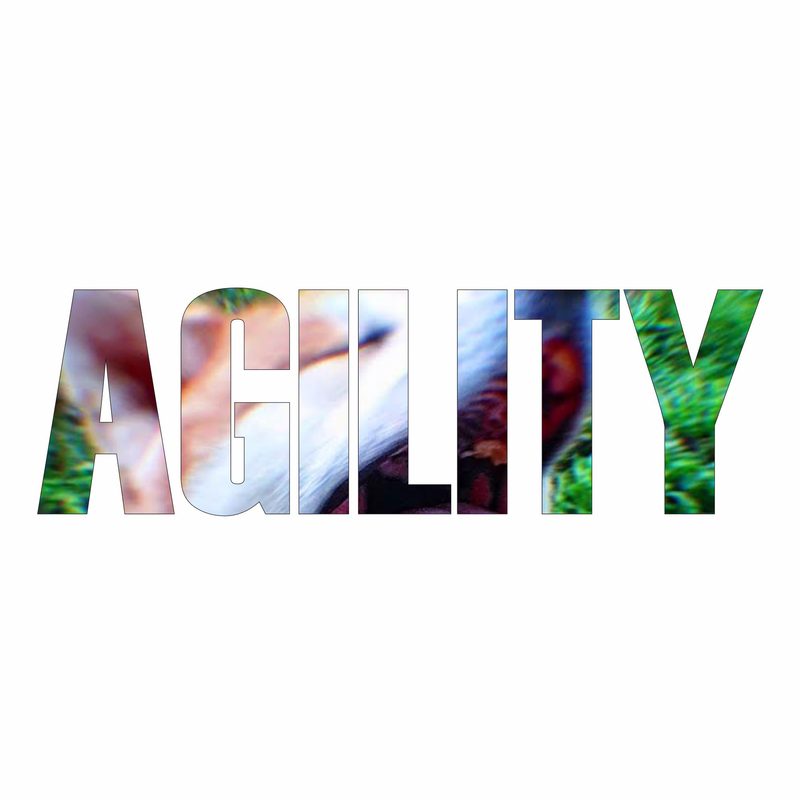 Copertina del singolo AGILITY