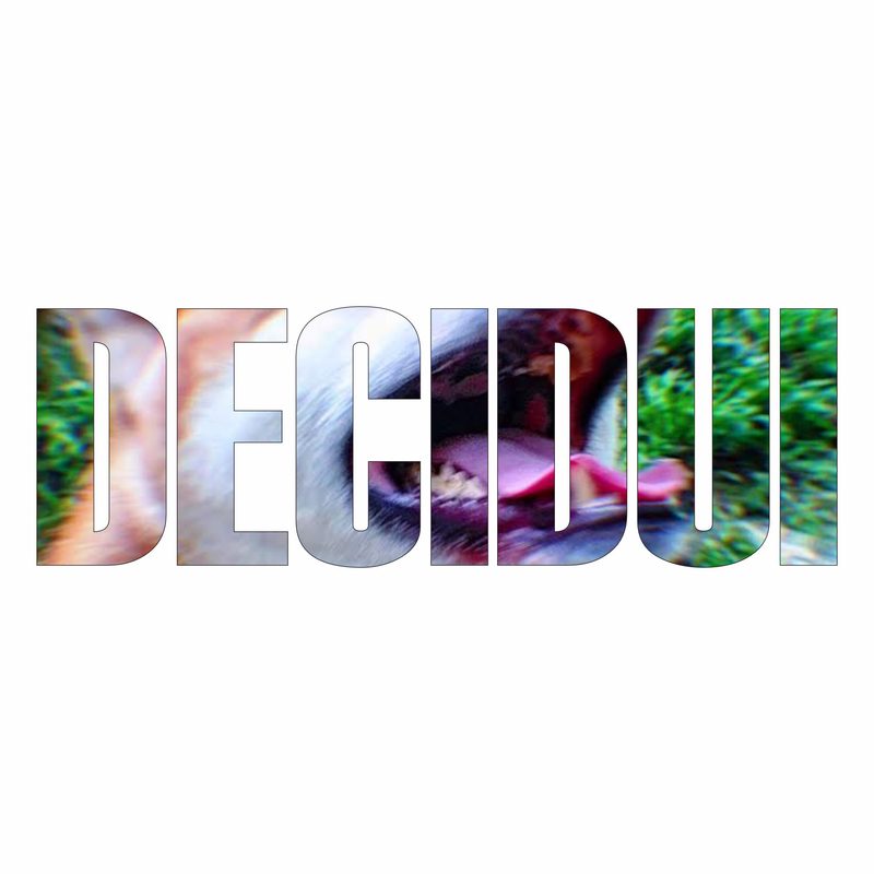 Copertina del singolo DECIDUI